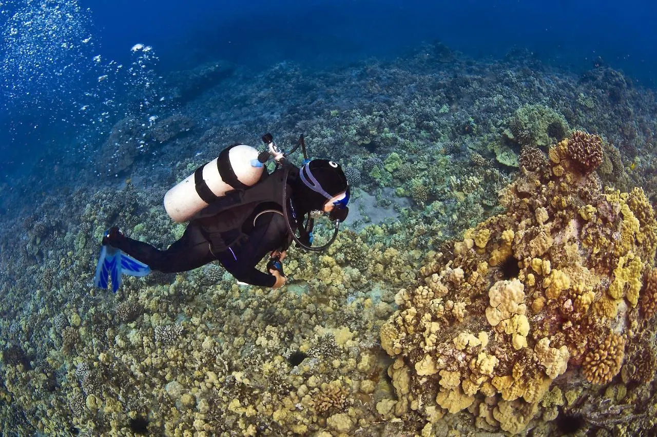 Semesterbostad Napili Point B44 Villa Kahana