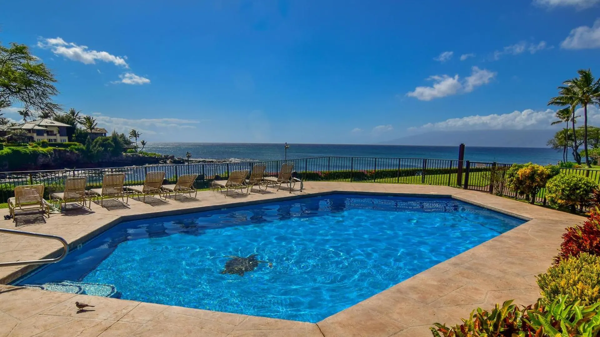 Napili Point B44 Villa Kahana